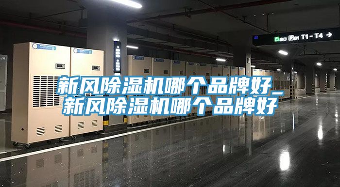 新風草莓视频污污污污哪個品牌好_新風草莓视频污污污污哪個品牌好