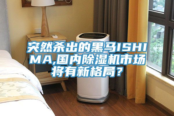 突然殺出的黑馬ISHIMA,國內草莓视频污污污污市場將有新格局？
