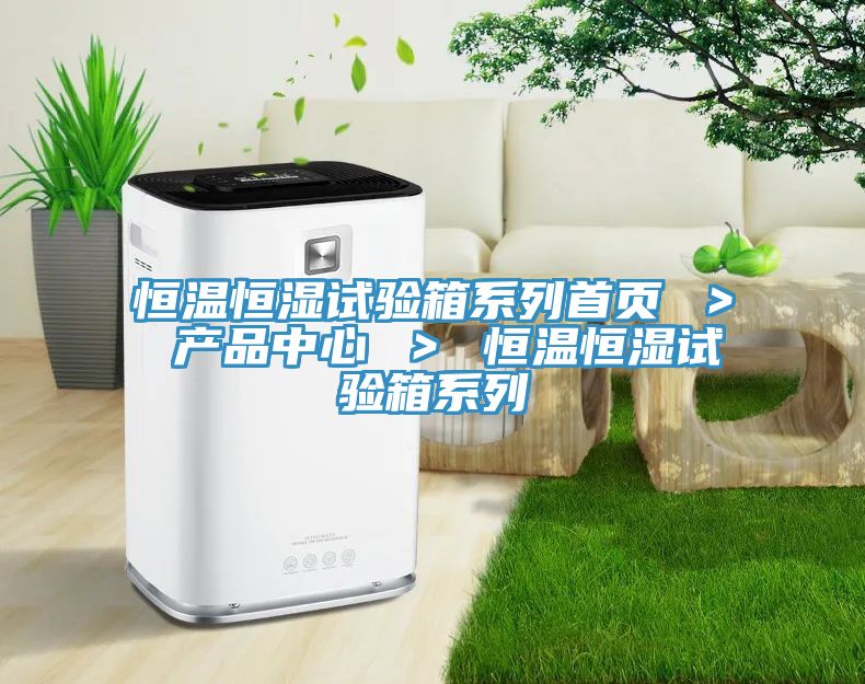 恒溫恒濕試驗箱係列首頁 ＞ 草莓视频色版本 ＞ 恒溫恒濕試驗箱係列