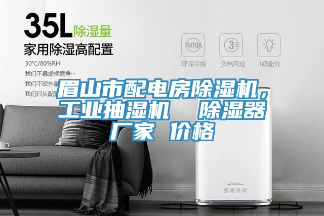 眉山市配電房草莓视频污污污污，工業抽濕機  除濕器廠家 價格
