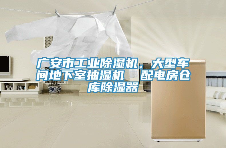 廣安市工業草莓视频污污污污，大型車間地下室抽濕機  配電房倉庫除濕器