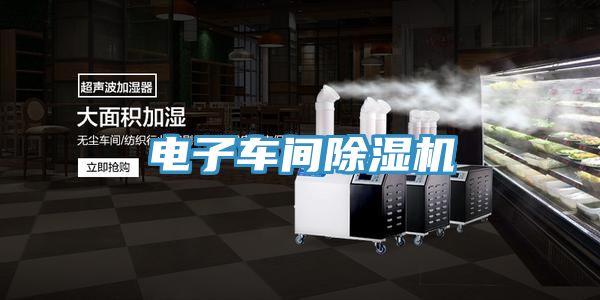 電子車間草莓视频污污污污