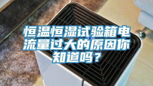 恒溫恒濕試驗箱電流量過大的原因你知道嗎？