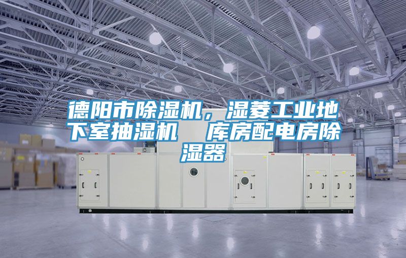 德陽市草莓视频污污污污，濕菱工業地下室抽濕機  庫房配電房除濕器