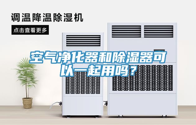空氣淨化器和除濕器可以一起用嗎？