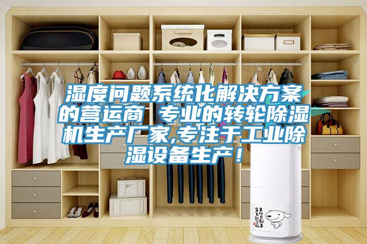 濕度問題係統化解決方案的營運商 專業的轉輪草莓视频污污污污生產廠家,專注於工業除濕設備生產！