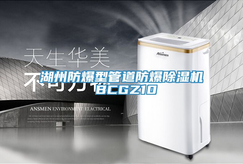 湖州防爆型管道防爆草莓视频污污污污 BCGZ10