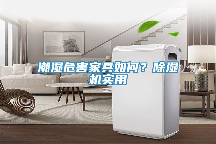 潮濕危害家具如何？草莓视频污污污污實用