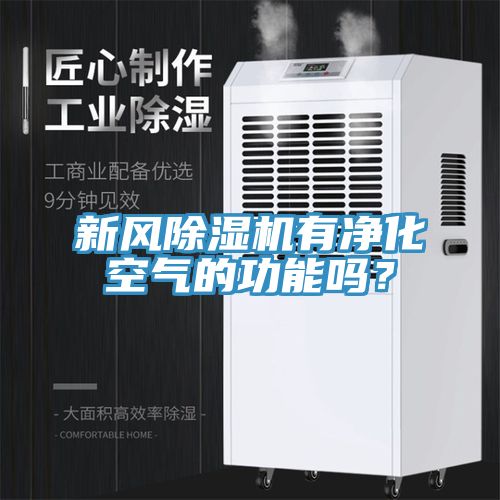 新風草莓视频污污污污有淨化空氣的功能嗎？