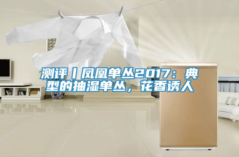 測評丨鳳凰單叢2017：典型的抽濕單叢，花香誘人