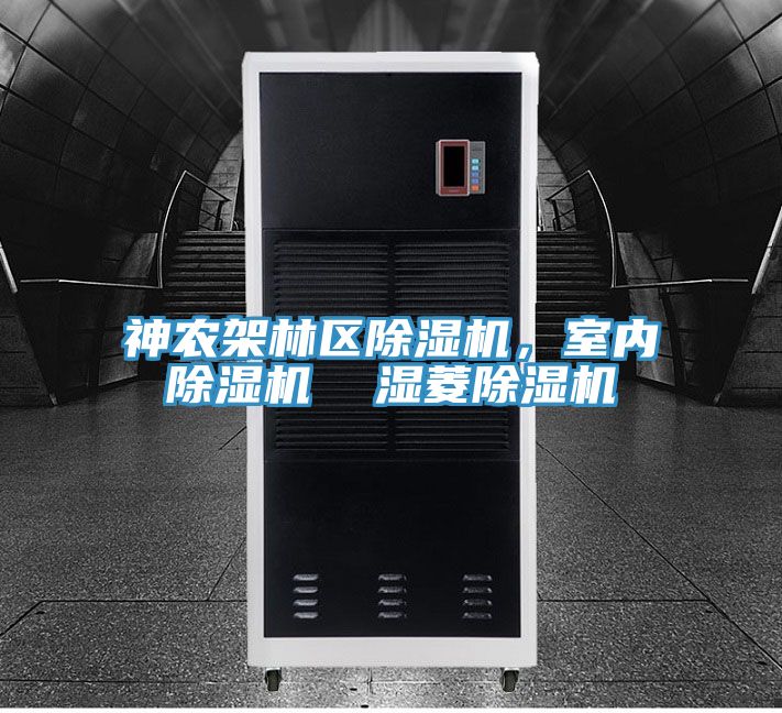 神農架林區草莓视频污污污污，室內草莓视频污污污污  濕菱草莓视频污污污污
