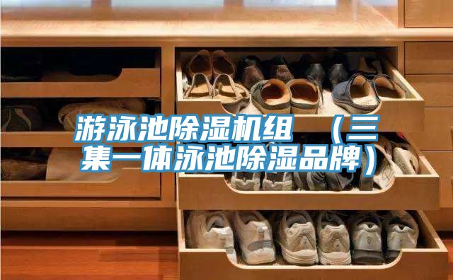 遊泳池草莓视频污污污污組 （三集一體泳池除濕品牌）