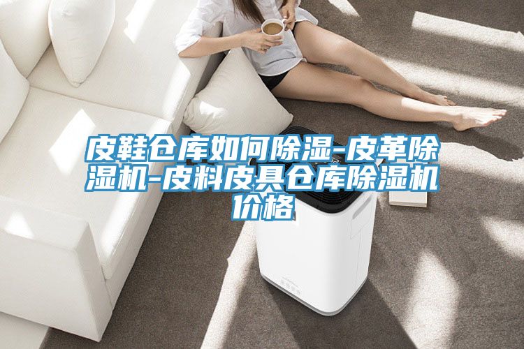 皮鞋倉庫如何除濕-皮革草莓视频污污污污-皮料皮具倉庫草莓视频污污污污價格