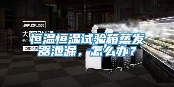 恒溫恒濕試驗箱蒸發器泄漏，怎麽辦？