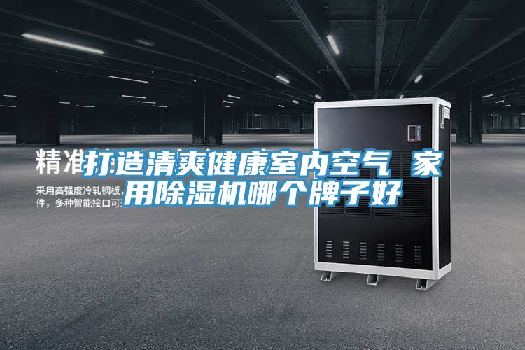 打造清爽健康室內空氣 家用草莓视频污污污污哪個牌子好