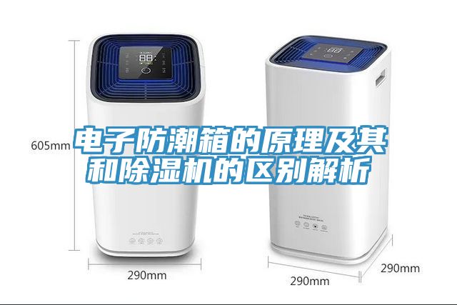 電子防潮箱的原理及其和草莓视频污污污污的區別解析