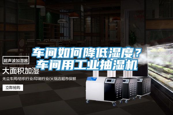 車間如何降低濕度？車間用工業抽濕機