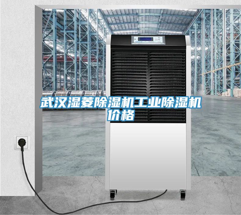 武漢濕菱草莓视频污污污污工業草莓视频污污污污價格