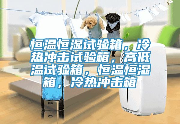 恒溫恒濕試驗箱，冷熱衝擊試驗箱，高低溫試驗箱，恒溫恒濕箱，冷熱衝擊箱