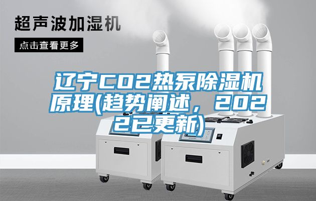 遼寧CO2熱泵草莓视频污污污污原理(趨勢闡述，2022已更新)