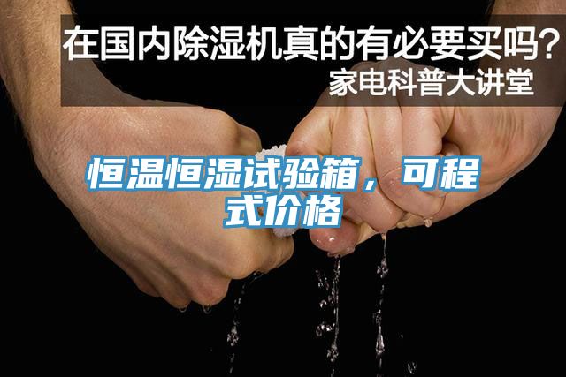 恒溫恒濕試驗箱，可程式價格