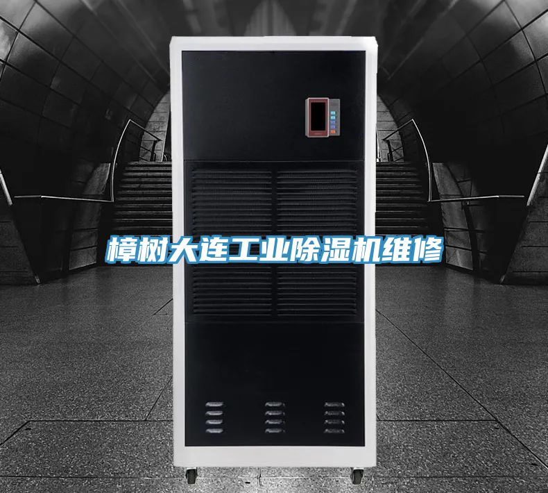 樟樹大連工業草莓视频污污污污維修
