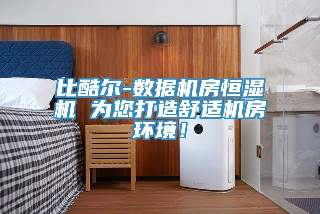 比酷爾-數據機房恒濕機 為您打造舒適機房環境！