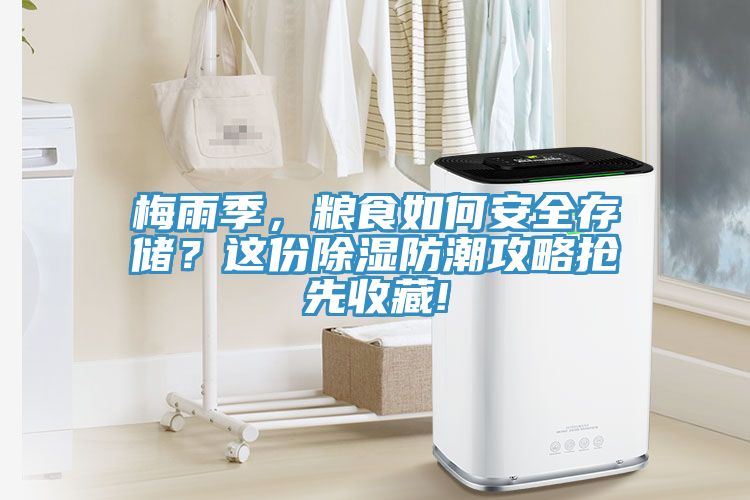 梅雨季，糧食如何安全存儲？這份除濕防潮攻略搶先收藏!
