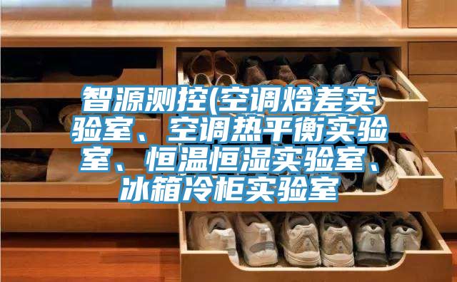 智源測控(空調焓差實驗室、空調熱平衡實驗室、恒溫恒濕實驗室、冰箱冷櫃實驗室