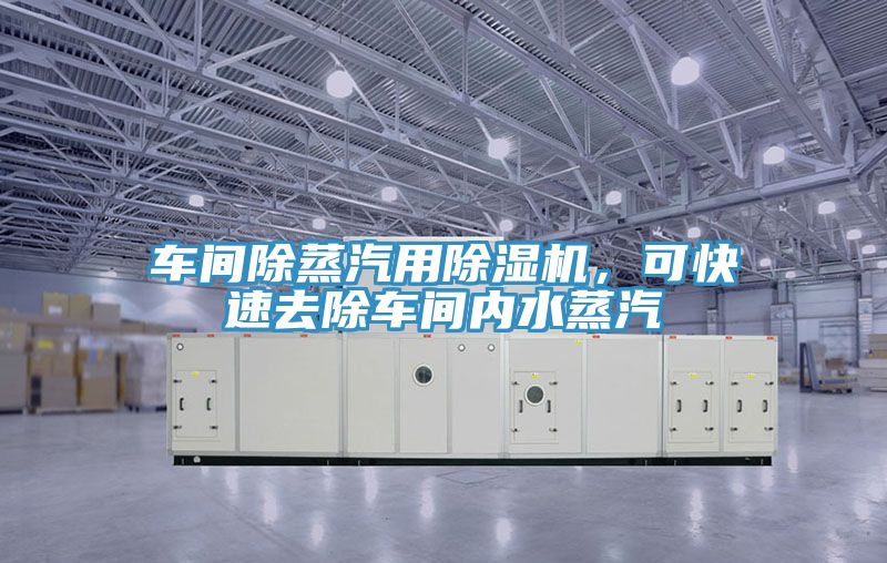 車間除蒸汽用草莓视频污污污污，可快速去除車間內水蒸汽