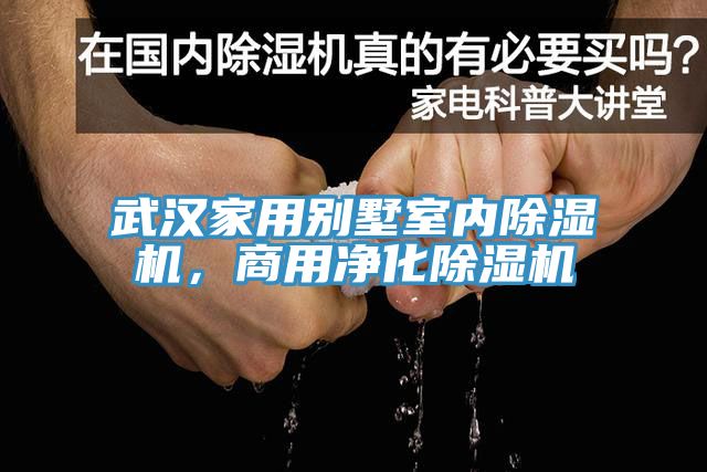 武漢家用別墅室內草莓视频污污污污，商用淨化草莓视频污污污污