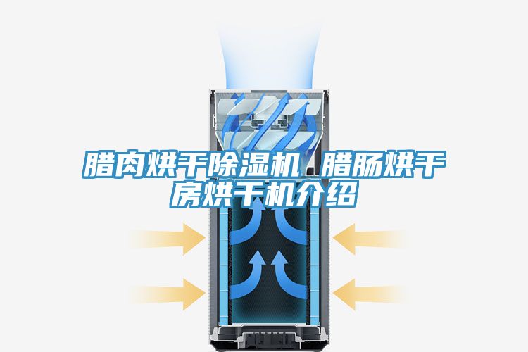 臘肉烘幹草莓视频污污污污 臘腸烘幹房烘幹機介紹