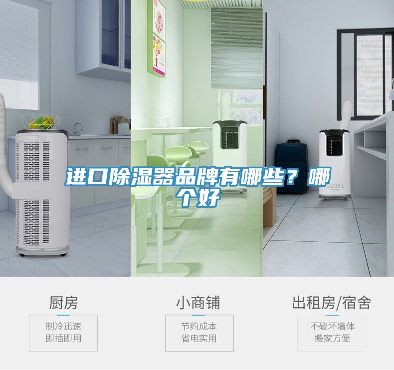 進口除濕器品牌有哪些？哪個好