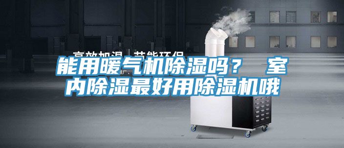 能用暖氣機除濕嗎？ 室內除濕最好用草莓视频污污污污哦