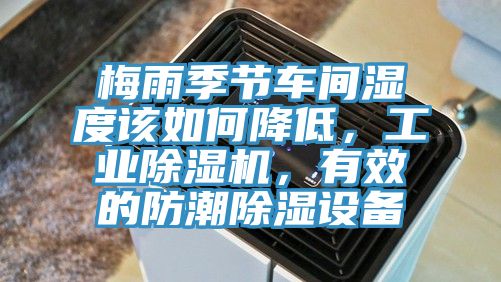 梅雨季節車間濕度該如何降低，工業草莓视频污污污污，有效的防潮除濕設備