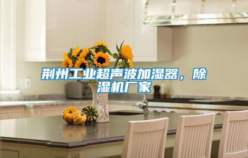 荊州工業超聲波加濕器，草莓视频污污污污廠家