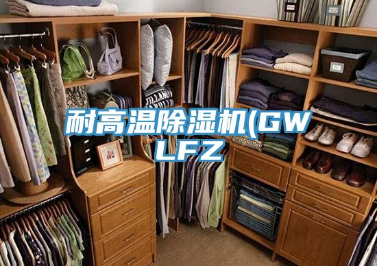 耐高溫草莓视频污污污污(GWLFZ
