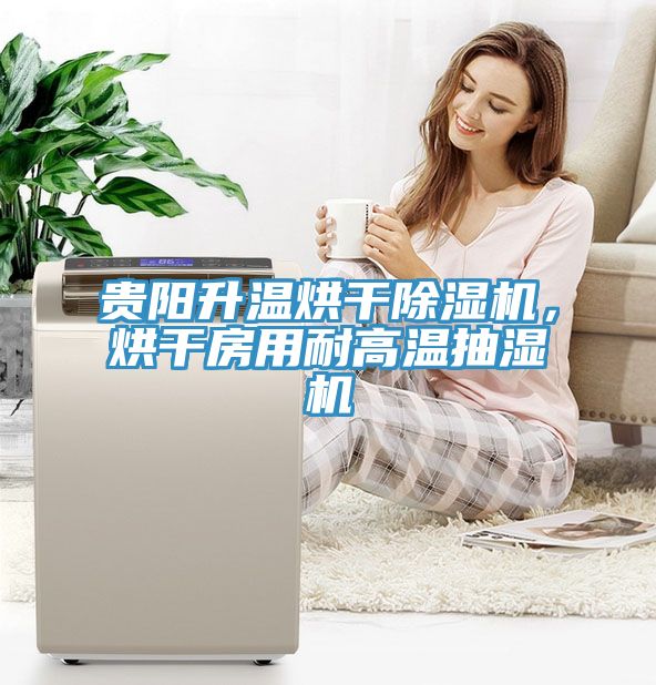 貴陽升溫烘幹草莓视频污污污污，烘幹房用耐高溫抽濕機