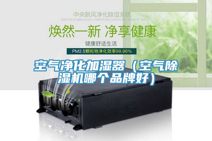 空氣淨化加濕器（空氣草莓视频污污污污哪個品牌好）