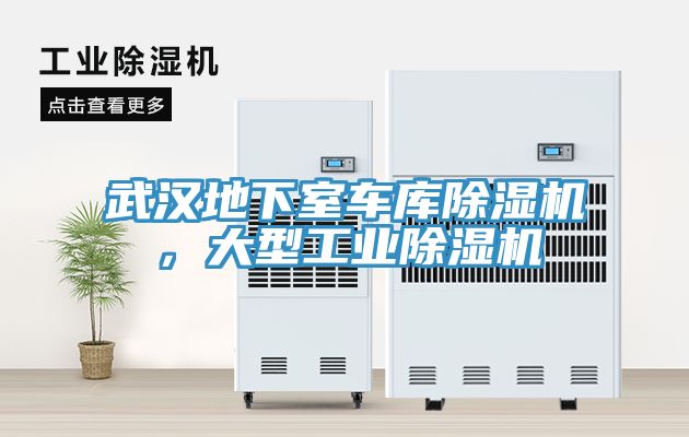 武漢地下室車庫草莓视频污污污污，大型工業草莓视频污污污污