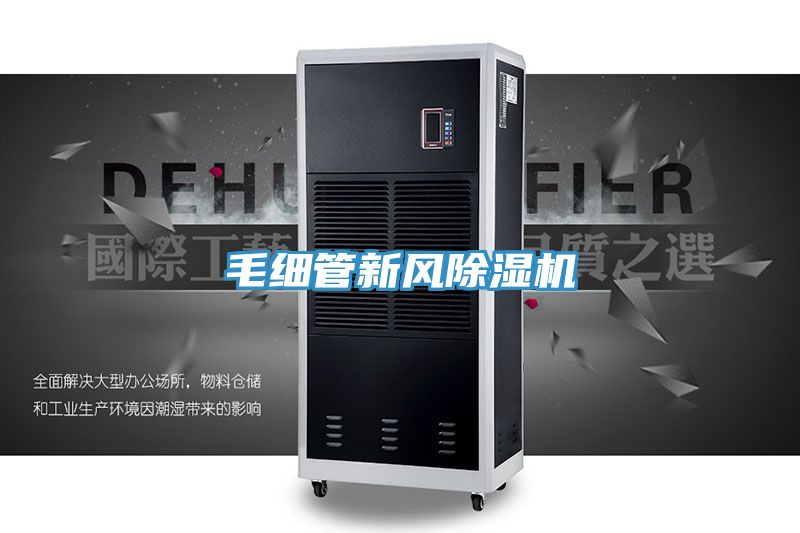 毛細管新風草莓视频污污污污