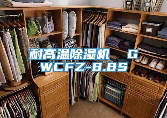 耐高溫草莓视频污污污污  GWCFZ-8.8S
