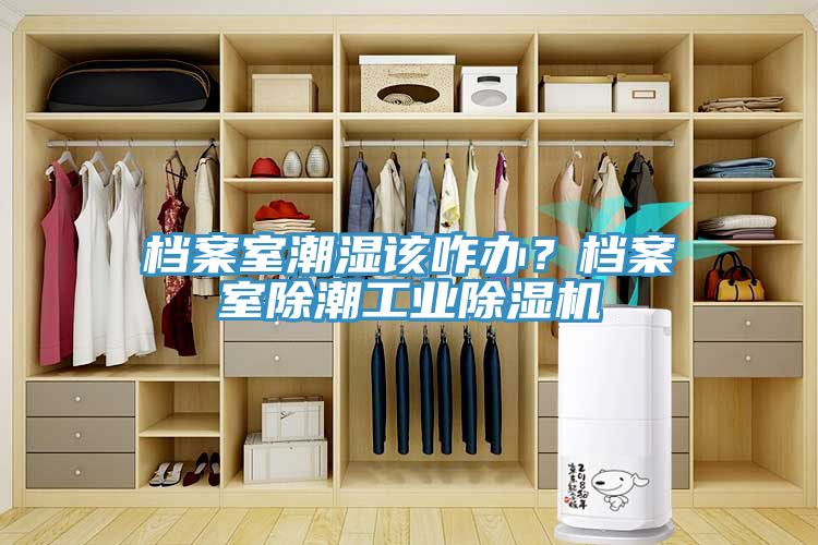檔案室潮濕該咋辦？檔案室除潮工業草莓视频污污污污