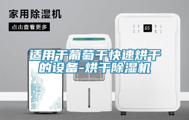 適用於葡萄幹快速烘幹的設備-烘幹草莓视频污污污污