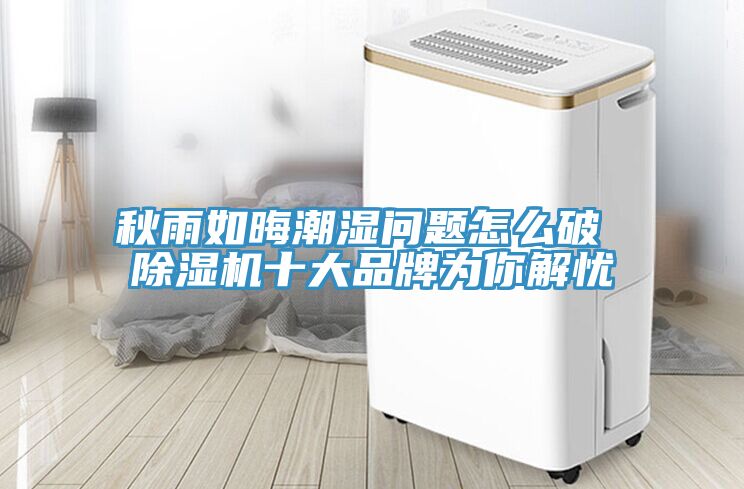 秋雨如晦潮濕問題怎麽破 草莓视频污污污污十大品牌為你解憂