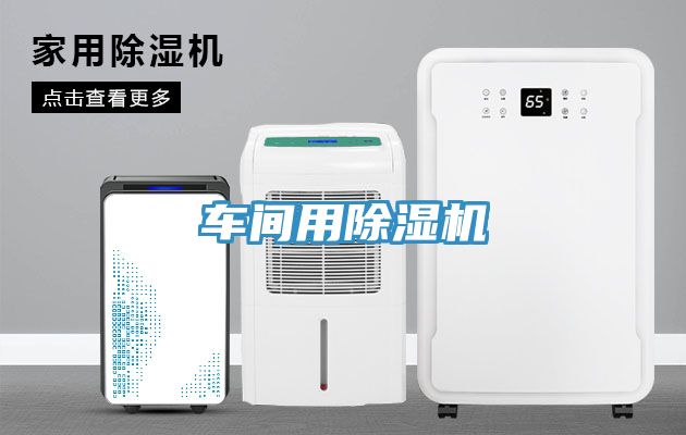 車間用草莓视频污污污污