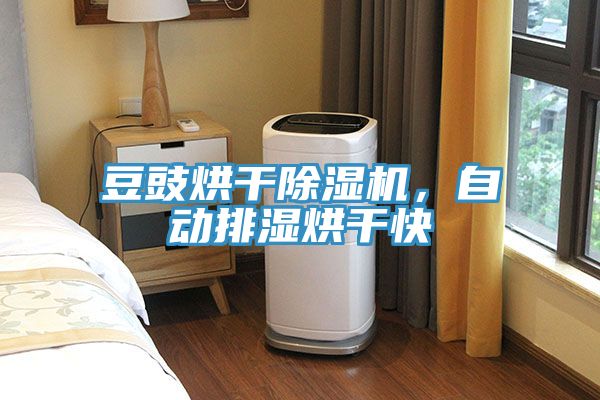 豆豉烘幹草莓视频污污污污，自動排濕烘幹快