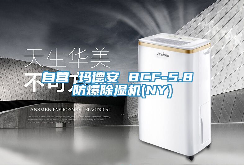 自營 瑪德安 BCF-5.8 防爆草莓视频污污污污(NY)