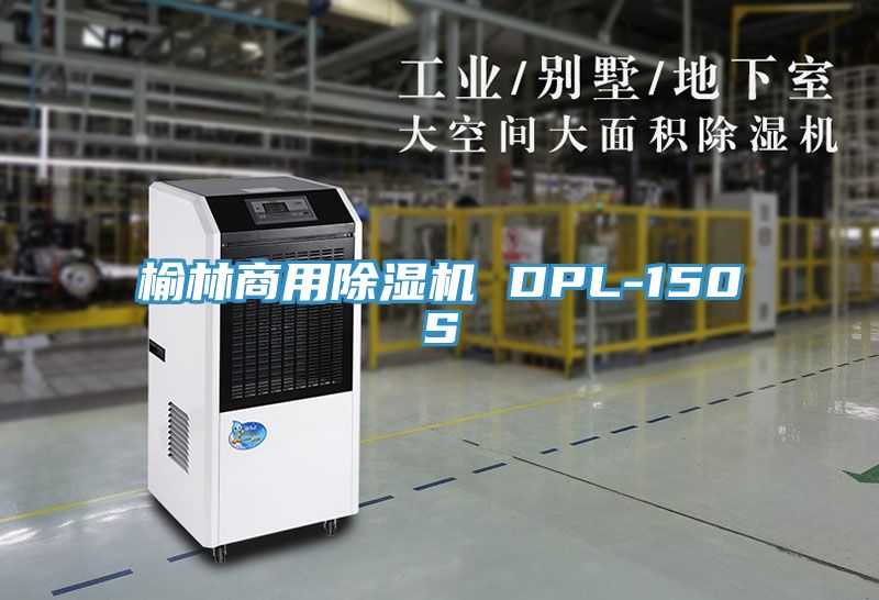 榆林商用草莓视频污污污污 DPL-150S