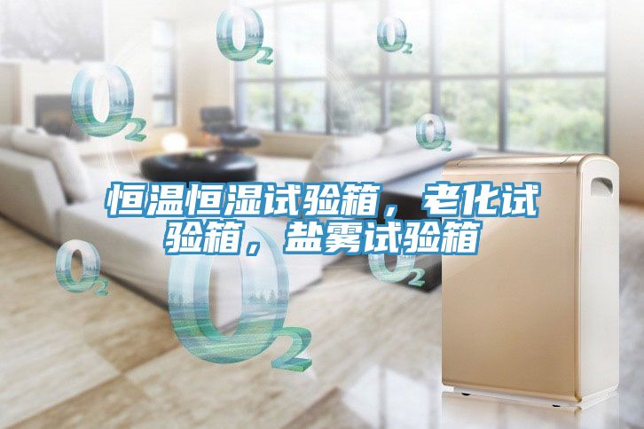 恒溫恒濕試驗箱，老化試驗箱，鹽霧試驗箱